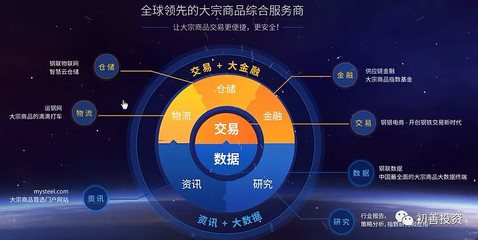 讀年報(bào)系列二（2） 上海鋼聯(lián)——數(shù)據(jù)服務(wù)的獨(dú)角獸之路